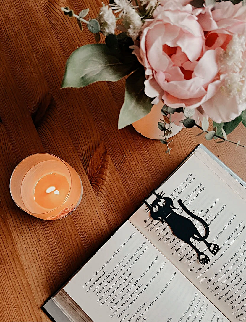 ❥ Marcapáginas gato (Resto temporada)