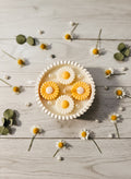 ❥ Vela mini Daisy 🌼 (Aroma floral a lilas, muguet, gardenia)
